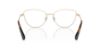 Picture of Swarovski Eyeglasses SK1012