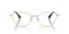 Picture of Swarovski Eyeglasses SK1012