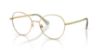 Picture of Swarovski Eyeglasses SK1013
