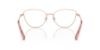Picture of Swarovski Eyeglasses SK1012