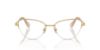 Picture of Swarovski Eyeglasses SK1010