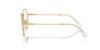 Picture of Swarovski Eyeglasses SK1011