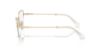 Picture of Swarovski Eyeglasses SK1010
