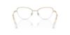 Picture of Swarovski Eyeglasses SK1010
