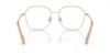 Picture of Swarovski Eyeglasses SK1009D