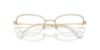 Picture of Swarovski Eyeglasses SK1010