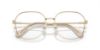 Picture of Swarovski Eyeglasses SK1009D