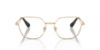 Picture of Swarovski Eyeglasses SK1011
