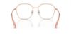 Picture of Swarovski Eyeglasses SK1009D