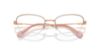 Picture of Swarovski Eyeglasses SK1010