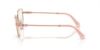 Picture of Swarovski Eyeglasses SK1007