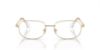 Picture of Swarovski Eyeglasses SK1005