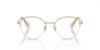 Picture of Swarovski Eyeglasses SK1004
