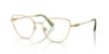 Picture of Swarovski Eyeglasses SK1007