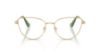 Picture of Swarovski Eyeglasses SK1007