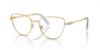Picture of Swarovski Eyeglasses SK1007