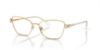 Picture of Swarovski Eyeglasses SK1006