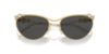 Picture of Swarovski Sunglasses SK7017
