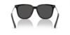 Picture of Swarovski Sunglasses SK6015D