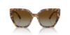Picture of Swarovski Sunglasses SK6016F