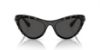 Picture of Swarovski Sunglasses SK6007