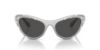Picture of Swarovski Sunglasses SK6007