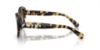 Picture of Swarovski Sunglasses SK6005