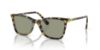 Picture of Swarovski Sunglasses SK6004