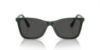 Picture of Swarovski Sunglasses SK6004F