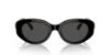 Picture of Swarovski Sunglasses SK6002