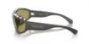 Picture of Swarovski Sunglasses SK6009