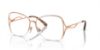 Picture of Alain Mikli Eyeglasses A02501