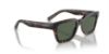 Picture of Arnette Sunglasses AN4334
