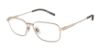 Picture of Arnette Eyeglasses AN6133