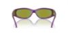 Picture of Arnette Sunglasses AN4302