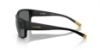 Picture of Arnette Sunglasses AN4256
