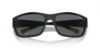 Picture of Arnette Sunglasses AN4256