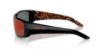 Picture of Arnette Sunglasses AN4182