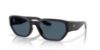 Picture of Costa Del Mar Sunglasses 6S9125