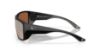 Picture of Costa Del Mar Sunglasses 6S9118