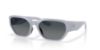 Picture of Costa Del Mar Sunglasses 6S9125