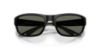 Picture of Costa Del Mar Sunglasses 6S9119