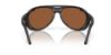 Picture of Costa Del Mar Sunglasses 6S9117