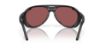 Picture of Costa Del Mar Sunglasses 6S9117