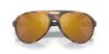 Picture of Costa Del Mar Sunglasses 6S9117