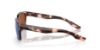 Picture of Costa Del Mar Sunglasses 6S9081