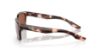 Picture of Costa Del Mar Sunglasses 6S9081