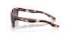 Picture of Costa Del Mar Sunglasses 6S9081