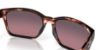 Picture of Costa Del Mar Sunglasses 6S9081