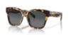 Picture of Costa Del Mar Sunglasses 6S2016